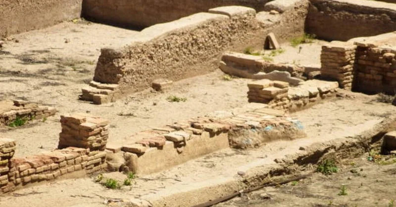 Кембриджские ученые сообщили о крупном открытии в Абайской области