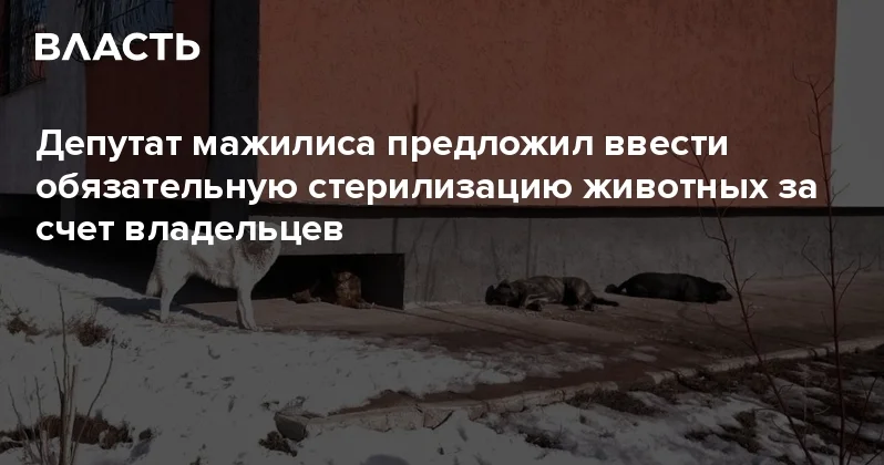 Депутат мажилиса предложил ввести обязательную стерилизацию животных за счет владельцев Аналитический интернет журнал Власть