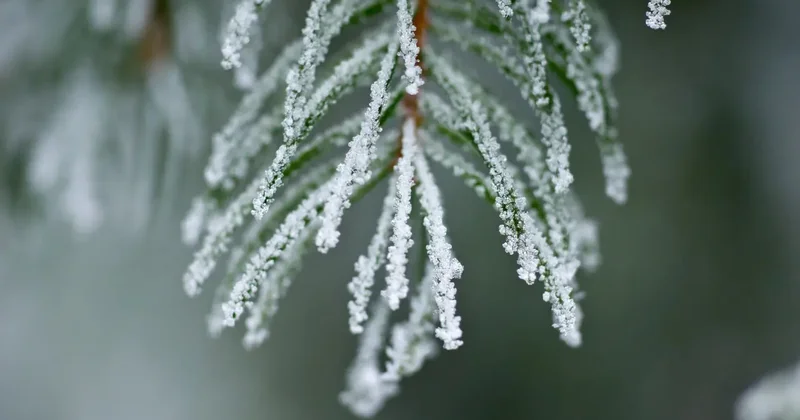 Метели и сильный ветер: где в Казахстане ухудшится погода