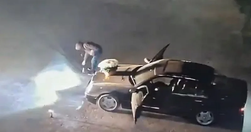 Парней наказали за запуск фейерверков под деревьями в Шымкенте (видео)