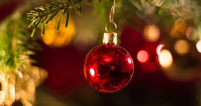 Дәрігер шыршаның тосын қаупін атады