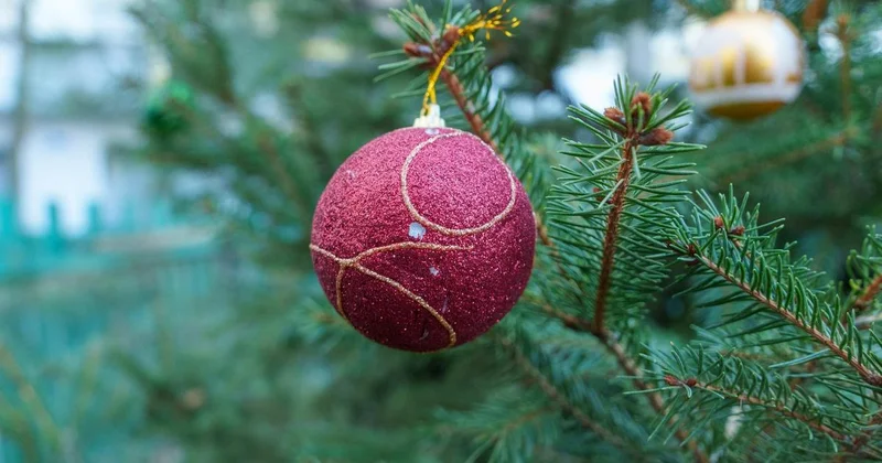 В МЧС обратились к казахстанцам по поводу установки и украшения новогодней елки