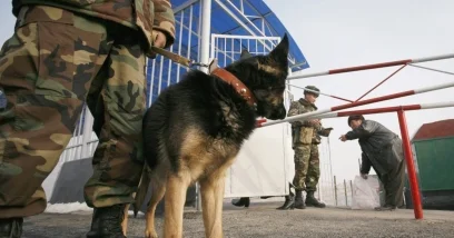 Более 30 килограммов наркотиков пытались провезти в Казахстан