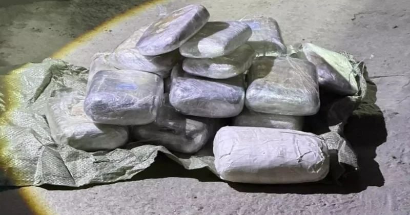 Қазақстан мен Қырғызстан шекарасында есірткінің ірі партиясы тәркіленді