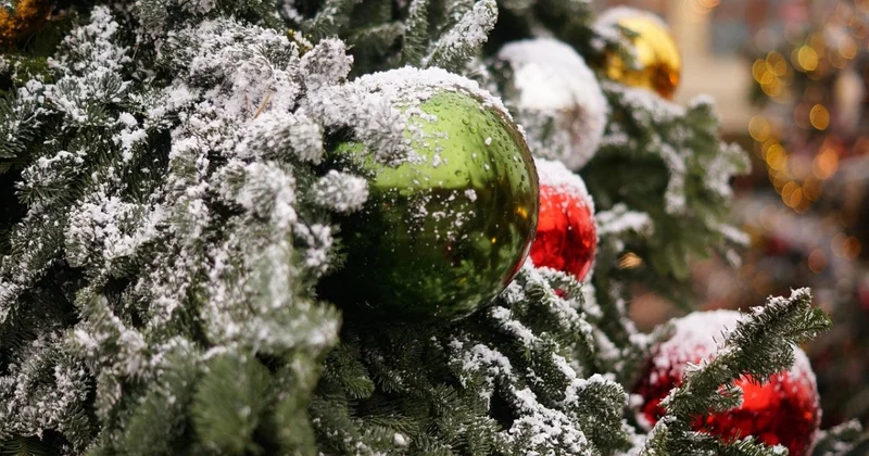 Роза Рымбаева, KeshYOU и другие выступят на зажжении главной елки Алматы