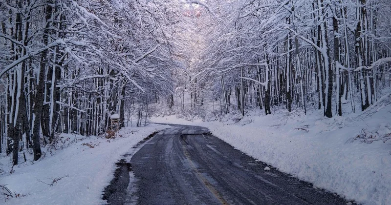 Грузовик сбил пешехода насмерть в Павлодарской области