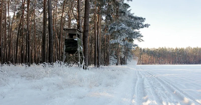 Странные обстоятельства исчезновения: 61 летнего охотника ищут в Атырауской области