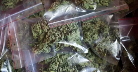 Два наркопреступления раскрыты в Астане