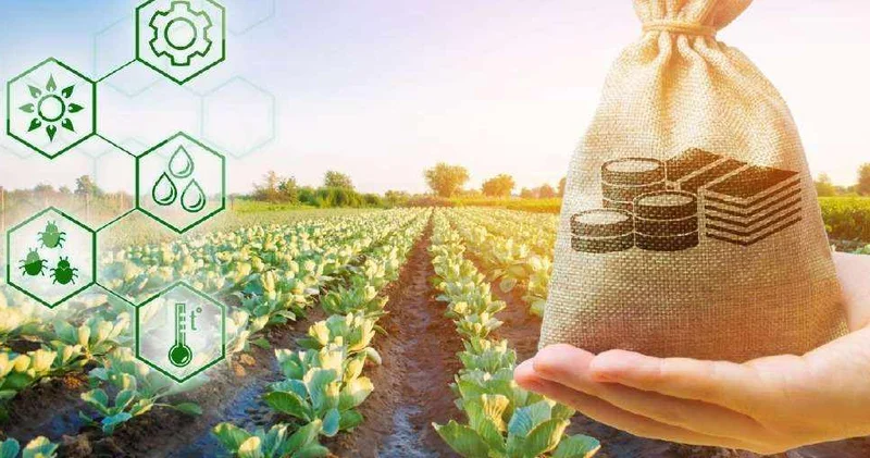 ҚазАгроҚаржы айыппұлдар мен өсімпұлдарды есептен шығару акциясын іске қосады