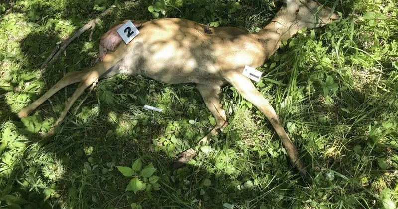 Майор просит защиты у главы МВД