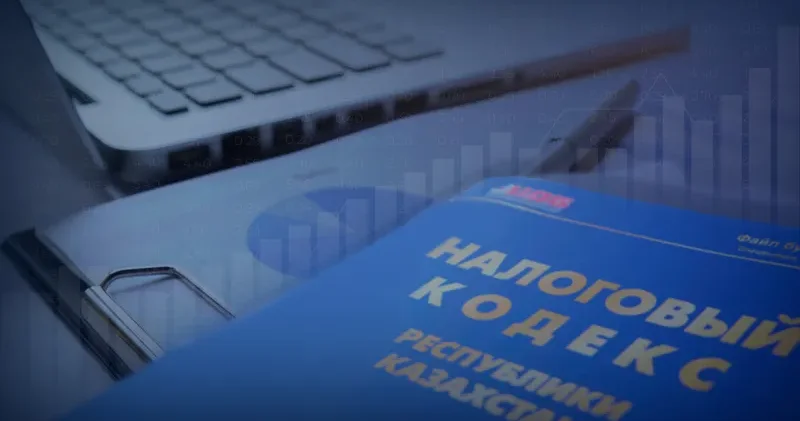 Тоқаев жаңа Салық кодексін түзету қажеттігін айтты