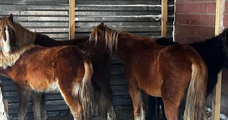 Найти пропажу помог навигатор