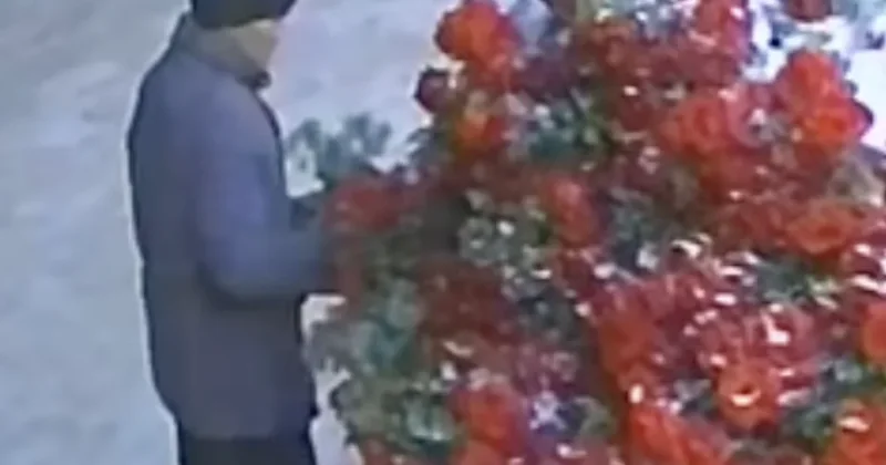 Степногорский вандал романтик уничтожил городскую клумбу ради дамы