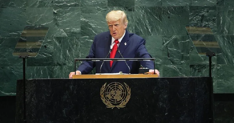 Оказалось бы на свалке истории : Трамп сделал заявление по НАТО