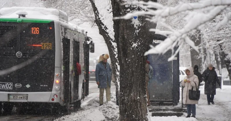 Снег и до 18 градусов мороза прогнозируют в мегаполисах Казахстана во вторник