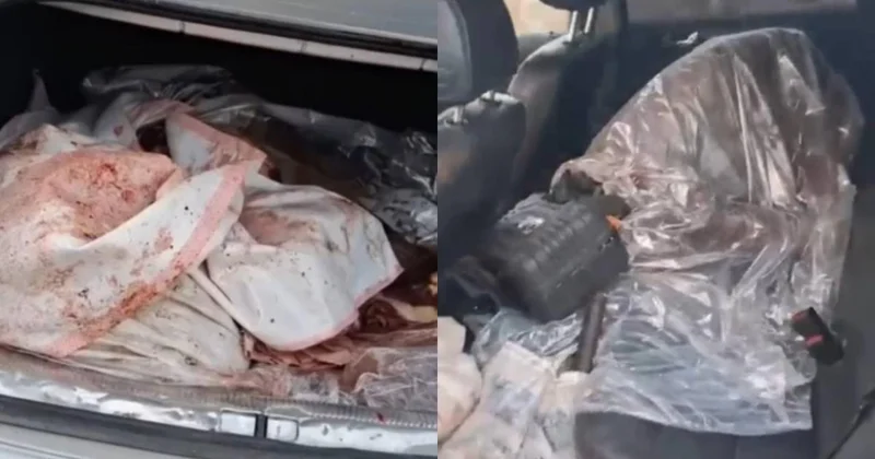 Жамбыл облысында екі адам жайылымдағы жылқыны атып алып кеткен