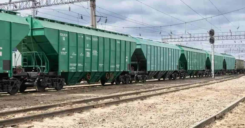 Қазақстан Өзбекстанға 4,5 млн тонна астық экспорттады