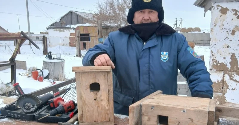 Павлодар орманшылары жабайы жануарларға тонналаған азық шашып жатыр