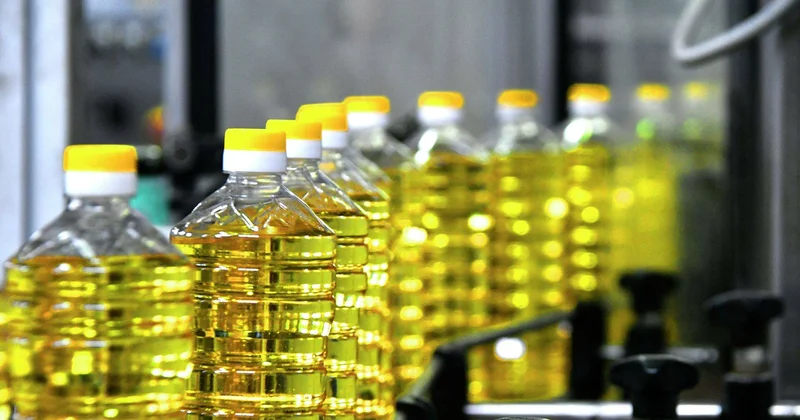 Қазақстан күнбағыс майын экспорттауда әлемдік топ 3 ке кіруді көздейді