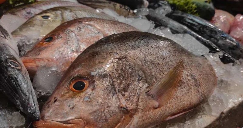 Подарили рыбный день