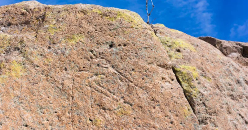 Қызылорда және Түркістан облыстарынан 17 мың петроглиф табылды