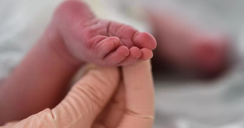 Жамбыл облысында жаңа босанған ана қайтыс болды: тексеріс басталды