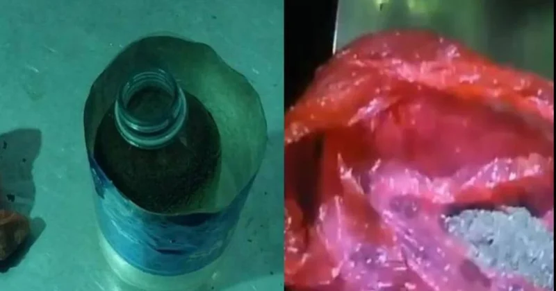 Қызметтік ит Атыраудағы колонияға тыйым салынған затты жеткізу әрекетін тоқтатты