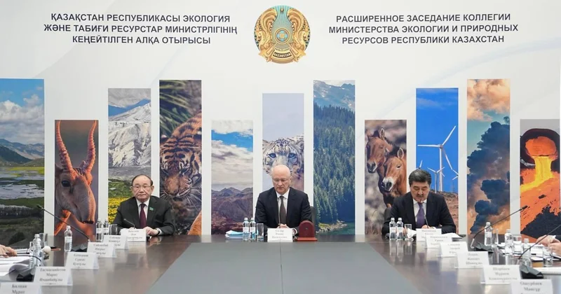 Новая Конституция как основа экологической безопасности страны