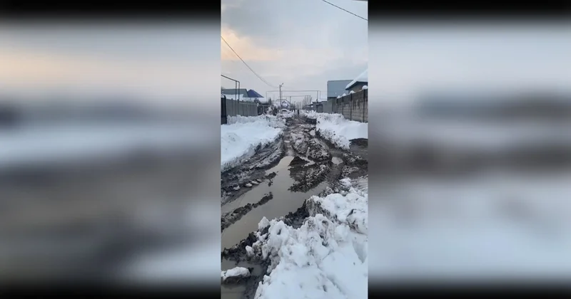 Проект Нет дорог нет налогов : жители Тараза требуют от акимата отремонтировать дороги в массиве Сулутор