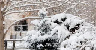 Жаңбыр мен қар, боран: Ертең елімізде ауа райы қандай болады?