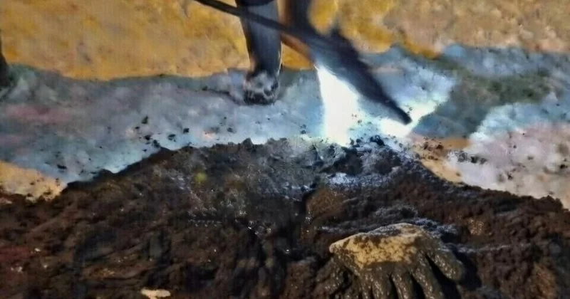 Попутали унитаз с мусоропроводом