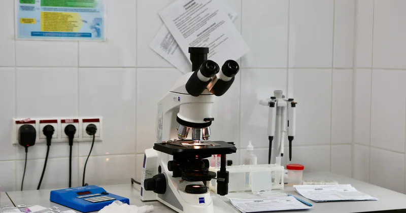 Енді гормондық талдауларды ЖИ арқылы жедел тексеруге болады