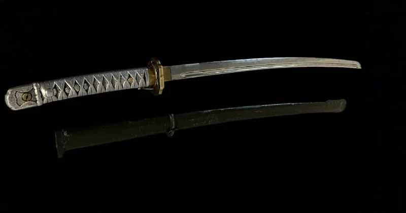 За 3,4 млн тенге продали с торгов саблю Самурая из дома, похожего на особняк Масимова