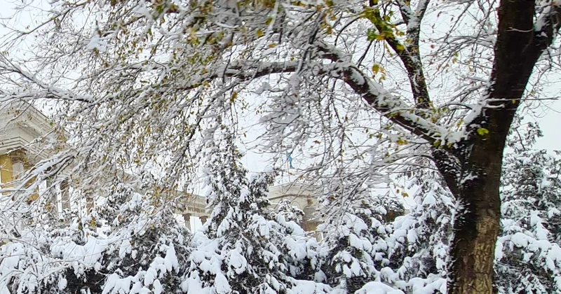 Демалыс күндері 37 градус аяз болады