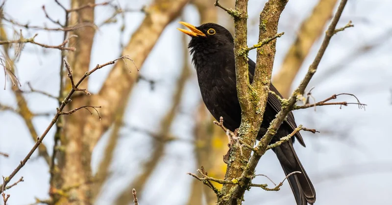 До +25 градусов и гололед: какой будет погода в Казахстане на праздничных выходных