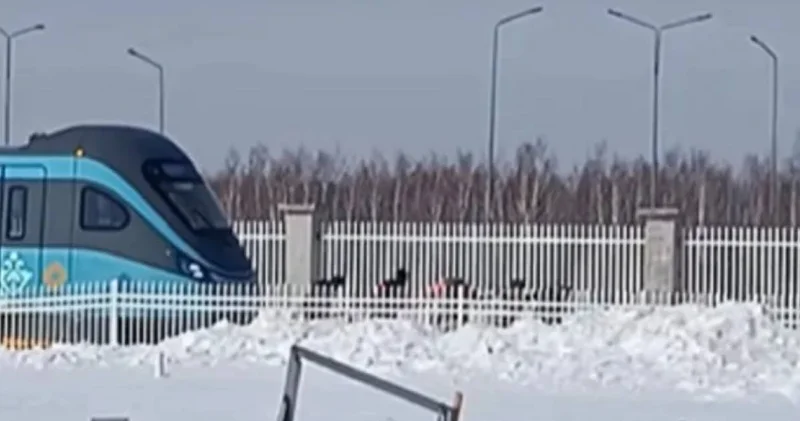 Астанада LRT вагондарын қолмен сүйреп бара жатқан жұмысшылар видеоға түсіп қалды