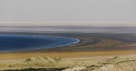 Пастбищные угодья появятся на осушенном дне Аральского моря