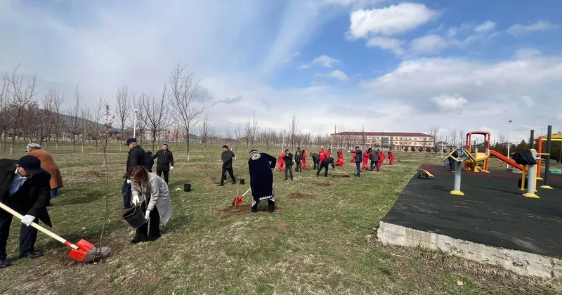 Көктем игілігі көшет егу