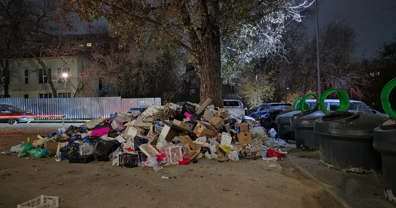 Чужой мусор под окнами: как ярмарка превратила алматинский двор в свалку