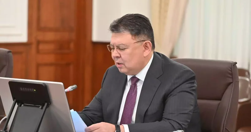 Алатаудың ерекше мәртебесі: үкімет қазіргі жер иелеріне кеңес берді