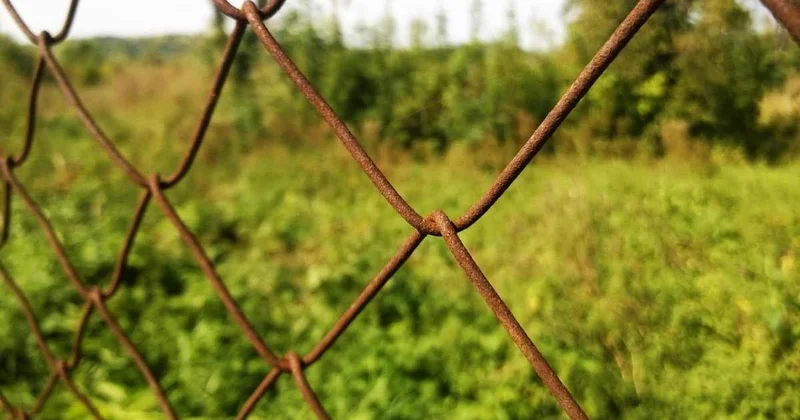 Прокуратура Алматы спасла бюджет от потери более 800 млн тенге