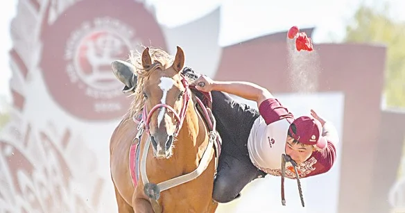 Олжасы мол ұлттық спорт