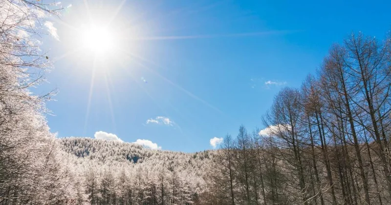 20 наурызда астрономиялық көктем басталды