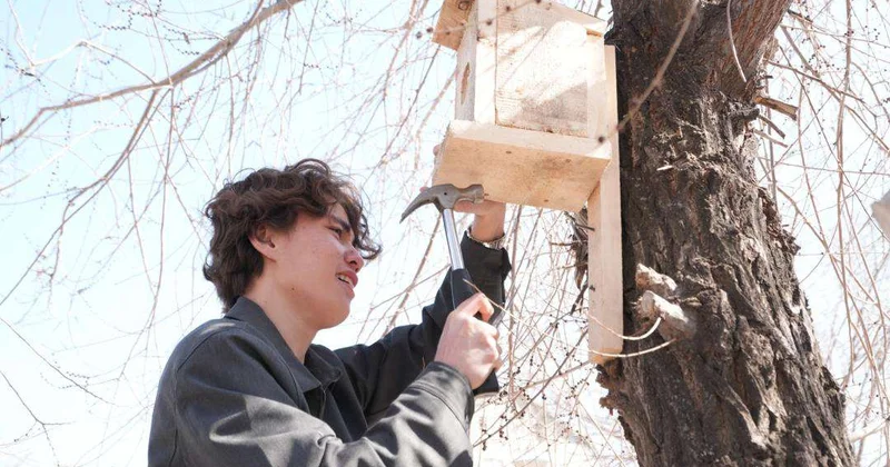 Домики для пернатых друзей