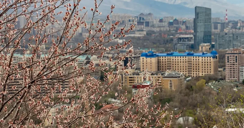 Гроза на юге, дожди на севере: какая погода ждёт казахстанцев на Наурыз