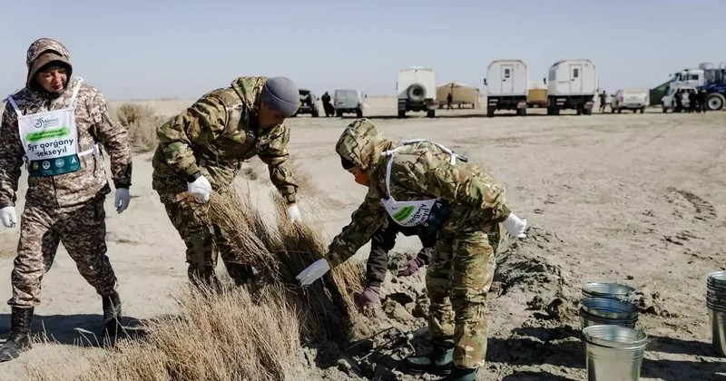 Елде орман қорын молайту үшін 1,6 млрд көшет отырғызылды