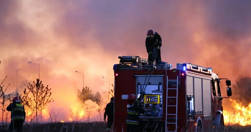Более 50 человек пострадали при пожаре на заводе автозапчастей в Южной Корее