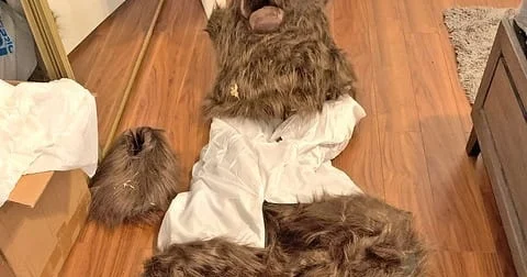 АҚШ та аю шабуылы туралы видео сақтандыру алаяқтығын әшкереледі