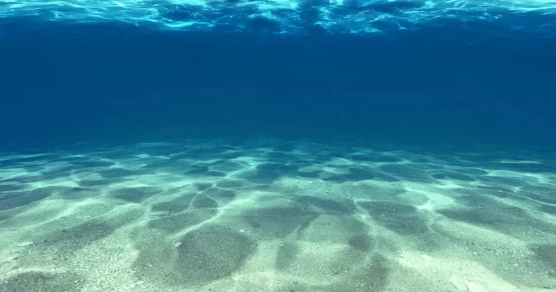 Казахстан и Азербайджан начнут укладку подводного интернет кабеля через Каспий этим летом