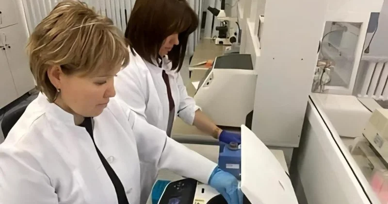 Қазақстандық ғалымдар құрғақшылыққа төзімді жаңа сорттарды патенттеді